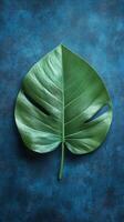 Large green leaf on blue background showcasing natural texture and detail photo