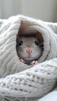 Cute small mouse peeking out from cozy knitted blanket on a chilly day in a warm indoor setting photo