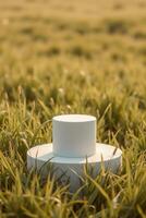 white cylindrical platforms a verdant grass field photo