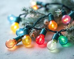multicolored glass bulb string lights arranged near a pine branch photo
