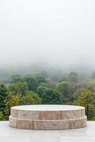 two-tiered round stone pedestal against a misty forest backdrop photo