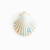 single fluted seashell with a delicate color palette photo
