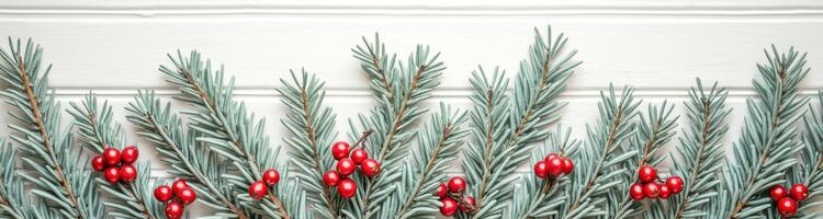 row light-green branches with clusters small red berries on a white background. photo