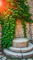 sunlight dappled stone steps with abundant green vines photo