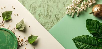 green plate with botanical elements on a two-toned background photo