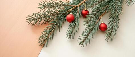 pine branch with red ornaments on a two-toned background photo