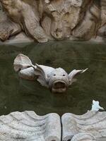 A beautifully crafted stone fish sculpture rests serenely in calm waters, encircled by intricate artistic stonework within a historic courtyard photo