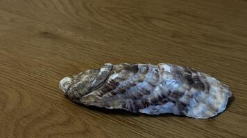 CloseUp of a Stunningly Beautiful Oyster Displayed on a Rustic Wooden Table Setting photo
