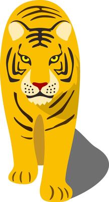 The Tiger comes to the camera, so close