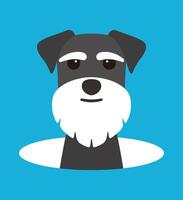cute Schnauzer dog on the hole, watching, illustration vector