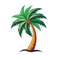 A cartoon illustration of a single palm tree with green fronds against a white background vector