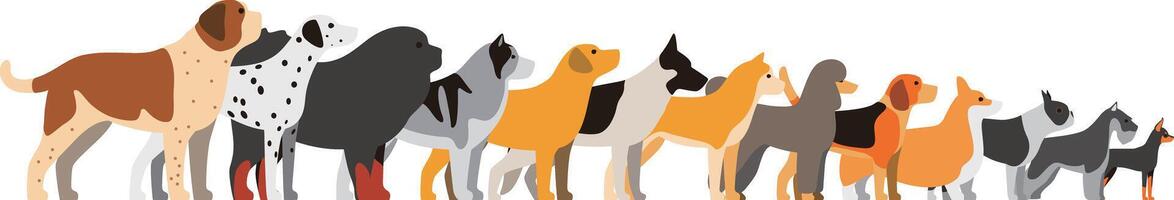 set of dog breeds standing in a line, side view illustration vector