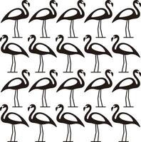Beautiful flamingo standing in a row, bird series vector
