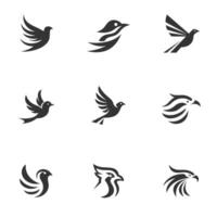 Professional Bird Logo Branding Package collection vector