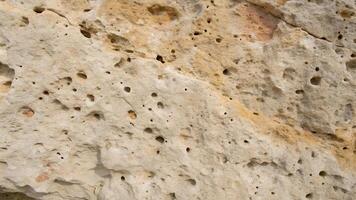 Porous Limestone Texture with Pockmarks and Subtle Color Variations photo