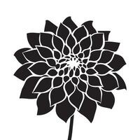 Minimalist Dahlia Flower Silhouette on White Background vector