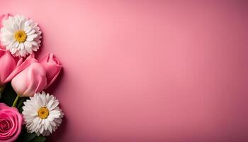 Pink and White Flowers on a Pink Background photo