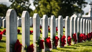 Rows of headstones in a military cemetery, adorned with red roses, creating a poignant and solemn atmosphere. photo