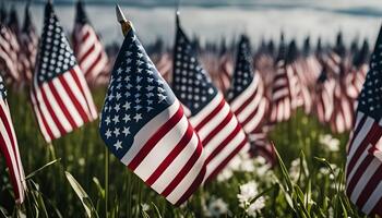 Field of Flags A patriotic display of American flags photo