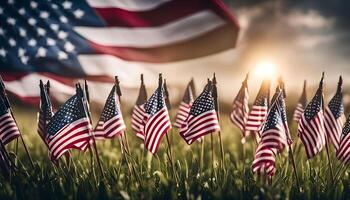 Patriotic Display of American Flags in Grassy Field photo
