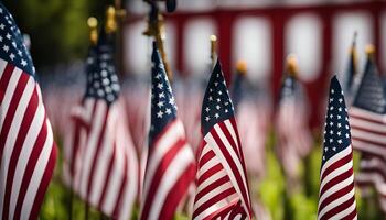 American Flags Displayed in a Row photo