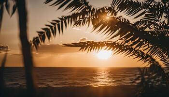 Sunset View Through Palm Leaves photo