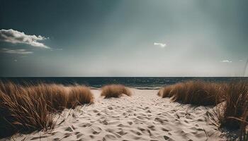Pathway to the Ocean photo