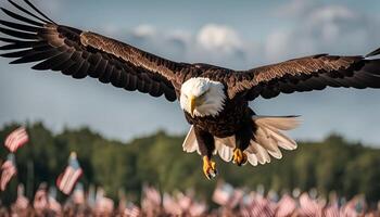Bald Eagle in Flight with American Flags in the Background photo