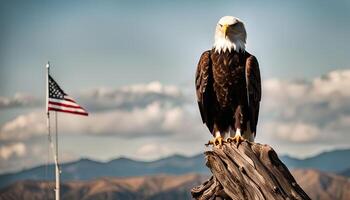 Bald Eagle Perched on a Tree Stump with an American Flag in the Background photo