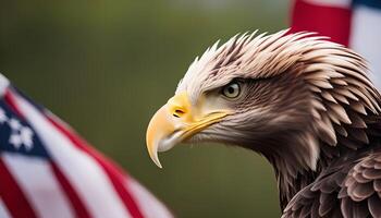 Bald Eagle Profile with American Flag photo