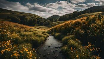 Serene Stream Flowing Through a Lush Valley photo