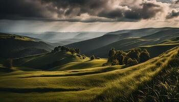 Rolling Hills Under a Cloudy Sky photo