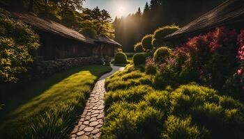 Sunlit Garden Path photo