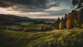 Rolling Hills and Golden Trees photo