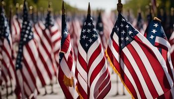 American Flags Displayed in a Row photo