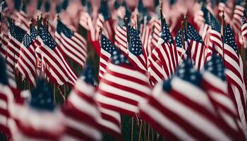 un campo de americano banderas foto