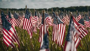 Patriotic Display of American Flags in Field photo