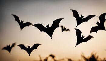 Silhouettes of Bats Flying in Sunset Sky photo
