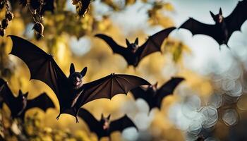 Bats in Flight photo