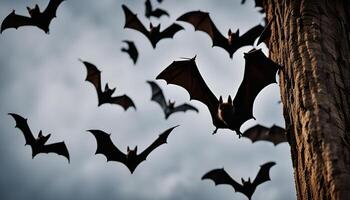 Bats Flying In The Sky With a Tree in the Background photo