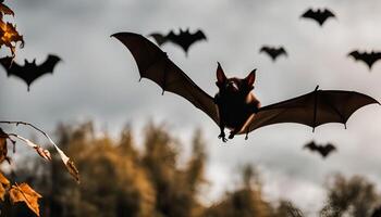 Bat in Flight, a Dark Silhouette Against Cloudy Sky photo