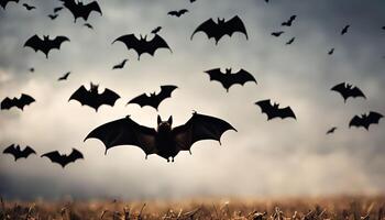Bats Flying in a Cloudy Sky photo