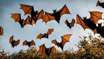 Flying Bats in the Sky photo