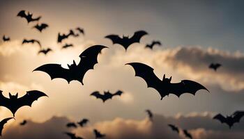 Bats Flying Against Sunset Clouds photo