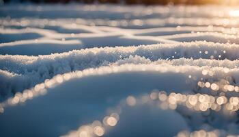 Close Up of Snow Covered Field with Sparkling Bokeh photo