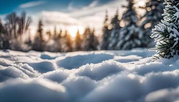 Snowy Forest at Sunset photo