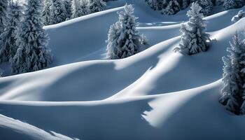 Snowy Mountain Landscape with Fir Trees photo