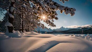 Snowy Mountain View with Sunshine Through Trees photo
