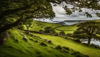 Tranquil Landscape with Lush Green Fields and a Serene Bay photo
