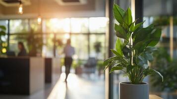 Professionals collaborate in a contemporary office filled with greenery, bathed in warm natural light during the golden hour. The inviting atmosphere enhances productivity and creativity. photo